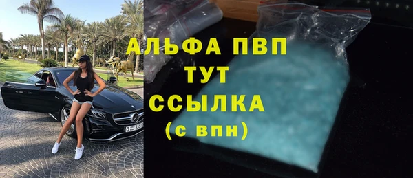 гидропоника Белокуриха
