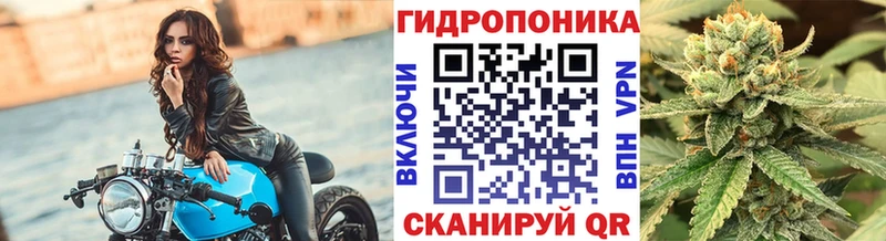 закладки  Малая Вишера  МАРИХУАНА планчик 